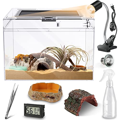 PC Large Reptile Terrarium Starter Kit,Magnetic Jumping Spider Enclosure,Hermit Crab Tank,Arboreal Tarantula Cage for Praying Mantis