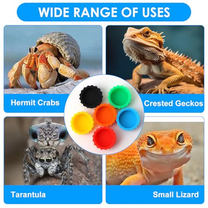 6 Pcs Crested Gecko Food and Water Bowl with 1 Spoon, Reptile Feeding Cups for Lizards, Isopods & Small Pets, Easy-Clean Silicone Set