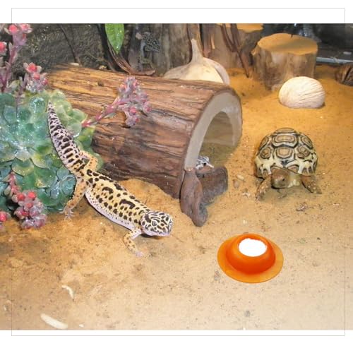 2 Pack Gecko Calcium Dish for Leopard Geckos Reptiles Small Pets Leopard Gecko Food Dish Calcium Bowl Reptile Water Dish Food Bowl