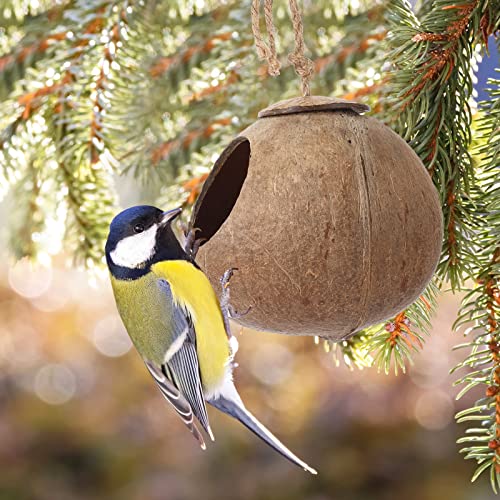 Skylety 3 Pcs Coconut Bird Nest Hut Hanging Bird House Coconut Hide with 6.9 Feet Fake Vines Coconut Fiber Shell Small Bird Cage Accessories for Parrot Parakeet Canary Reptile Crested Gecko Hamster