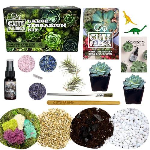 Terrarium Starter Kit | Moss, Vermiculite, Soil, Pebbles, Plant Food, & Finishing Tools (Large Kit + Live Plants + Crystals) - size: Large Kit + Live Plants + Crystals