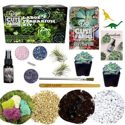 Terrarium Starter Kit | Moss, Vermiculite, Soil, Pebbles, Plant Food, & Finishing Tools (Large Kit + Live Plants + Crystals) - size: Large Kit + Live Plants + Crystals