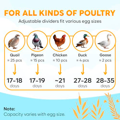12 Egg Incubator with Automatic Egg Turning and Humidity Control – Egg Incubators for Hatching Eggs – Egg Candler, Water Bottle Refill, Air Vent, 360° View – Incubadora de Huevos de Gallina