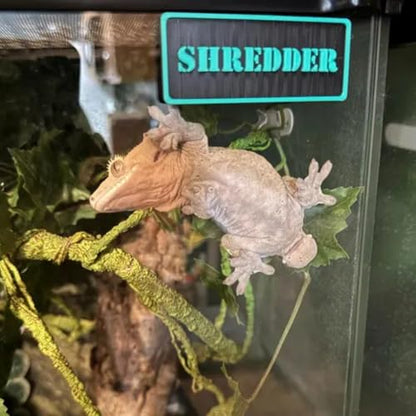 Magnetic Reptile Personalized Name Sign for Leopard Gecko, Crested Gecko, Frogs, Snakes, Hermit Crab with Species Name Plate Habitat Decor Accessories