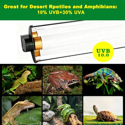 T5 HO UVB Lighting Kit, 15W Terrarium Hood with Detachable Curved Reflector, Desert 10.0 UVB T5 Lamp (15 Watts) - size: 15 Watts