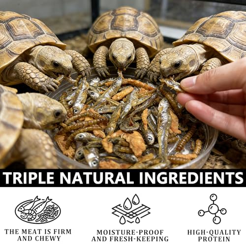 Turtle Food for Reptiles, 3 oz Canister - 3-in-1 Blend of Dried Mealworms, River Shrimp & Fish - Turtle Treats with High Protein, Reptile Treats for Aquatic Turtles (3 oz)