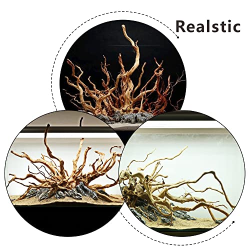 5 Pcs Aquarium Driftwoods Natural Driftwood Fish Tank Decorations Solid Reptile Wood Branches for Fish Tank Small Fish Hiding
