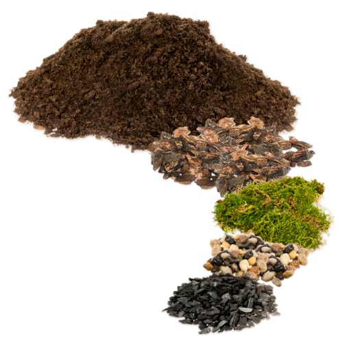 DIY Terrarium Kit for Succulents & Air Plants, Terrarium Starter Kit with Organic Soil, Orchid Bark, Horticultural Charcoal, River Rocks & Preserved Moss for Fairy Gardens & Mini Terrariums (Large)