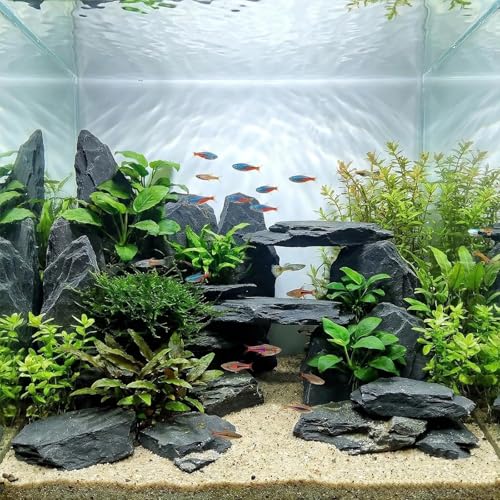 Fish Tank Rock Natural Slate Rocks 2 to 8 inch Aquariums Stone for Aquascaping,Terrariums, Reptile Enclosures,Paludariums,and Gardens-20lb - size: 20lb（2-8'')