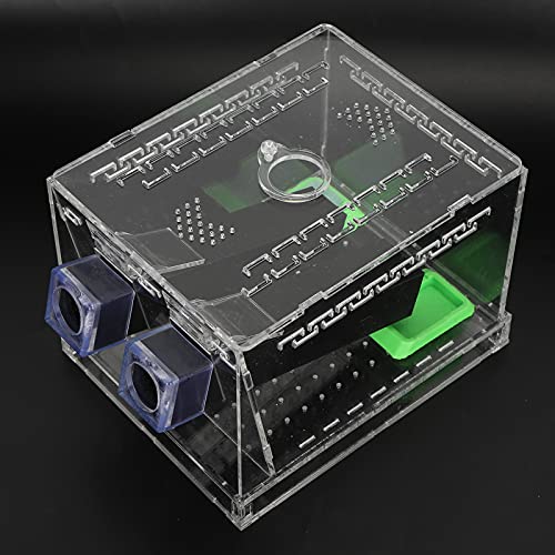 Cricket Keeper, Equipped with Water/Food Feeding Tub High Transparency Acrylic Material Cricket Keeper with Tubes Safe and Non- for Office for Home(L)