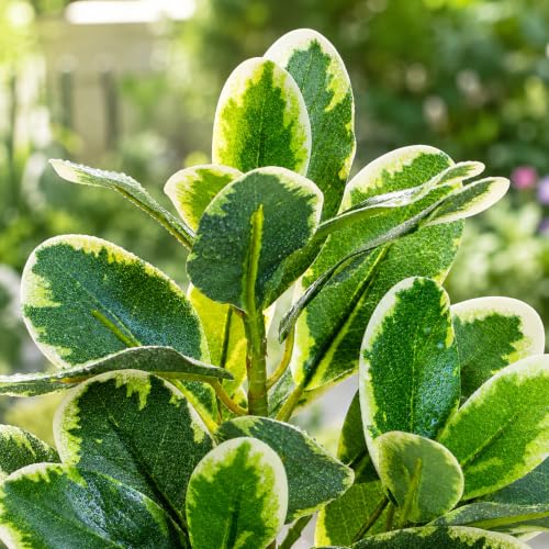 EupHHonycs Reptile Plants Artificial Leaves Reptile Tank Decorations | Fake Plants for Reptiles Terrarium for Bearded Dragon Lizard Snake Chameleon Geckos Amphibian Habitat Terrariums Decor
