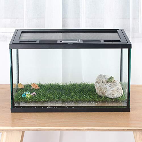 Frogs Glass Terrarium Feeding kit Tank, 15.7×11×9 inches, for Reptile Amphibians, Insect, Horned Frogs, Waterweed Prairie Style Habitat, with Green Artificial Turf Pad, Natural Volcanic Rock | Mesh Top Ventilation, Feeding Port, Lockable Lid, For Small Ho