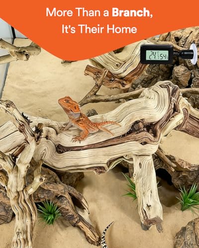 3Pcs Bearded Dragon Wood Branch, Large 14-17 Inch Reptile Wood Logs for ClimbingTerrarium Habitat Decor for Geckos, Chameleons, Frogs & Spiders (Upgrade the Thermometer) - size: Upgrade the thermometer