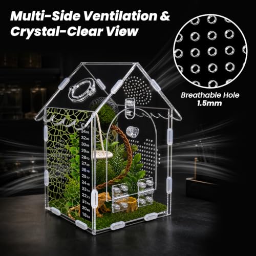 Jumping Spider Enclosure Kit, 5x5x8 Acrylic Terrarium Starter Set | Front-opening design Vertical habitat layout,Transparent viewing panels for desks, shelves and pet rooms