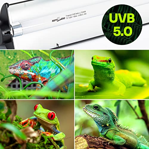 REPTI ZOO 8W Reptile T5 HO UVB Lighting Combo Kit, 12" Light Fixture Reptile Terrarium Hood, with Detachable Curved Reflector and 5.0 UVB T5 Lamp Bulb, ETL certificated - size: 8 Watts