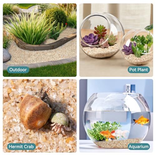 1-2mm Coarse Sand for Plants, 6lbs Horticultural Sand for Gardening | Desert Silica Sand for Cactus, Vases, Aquariums, Terrarium, Fish Tank, Drainage Rocks for Potted Plants, Bamboo, Crafts