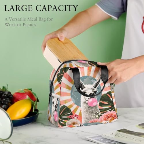 Funny Llama Alpaca Lunch Bag for Women Men | Insulated Lunch Box Leakproof Food Meal Containers Reusable Foldable 6L Capacity Lunch Tote Bags for Work Picnic Travel - color: Style 3