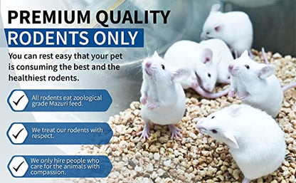 MiceDirect 15 Weanling Rats: Pack of Frozen Weanling Feeder Rats - Food for Corn Snakes, Ball Pythons, Lizards and Other Pet Reptiles - Freshest Snake Feed Supplies - size: 1 Count (Pack of 15)