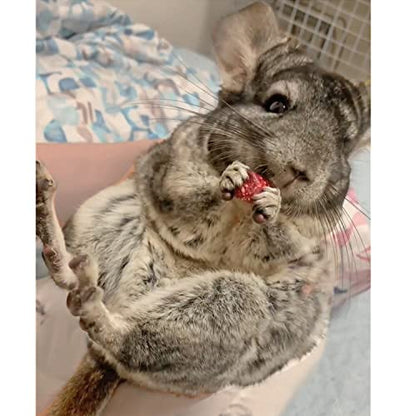 Exotic Nutrition Dried Rose HIPS (3 oz.) - Healthy Natural Treat - Chinchillas, Guinea Pigs, Rabbits, Prairie Dogs, Degus, Hamsters, Rats, Squirrels, Parrots, Chickens, Ducks & Other Small Pets - size: 3 Ounce (Pack of 1)