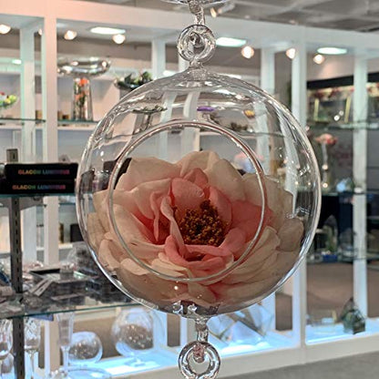 WGV Hanging Terrarium Globe, Width 4", Height 6", Double Hook, DIY Air Succulent Planter, Clear Glass Vase Orb, Candle Holder for Windowsill Outdoor Garden Decor, 1 Piece - size: 4" Double Hook