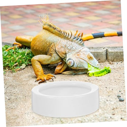 VANZACK 4pcs Reptile Food Dish Set Thick Feeding Bowls for Lizard and Reptiles Medium Round Shape Easy to Clean Stable Base for Food and Water Storage