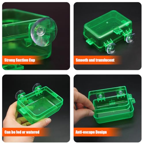 Reptile Suction Cup Feeder 2 Pack, Anti-Escape Food Bowl | for Gecko Lizard Iguana Chameleon Spider Frog Snake, Wall Mount Strong Suction Feeding Dish (Green, S)