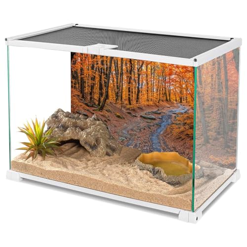 AWERT 36x20 inches Reptile Habitat Background Fallen Leaf Forest Streams Rocks Autumn Background Nature Art Terrarium Background - size: 36x20in/90x50cm