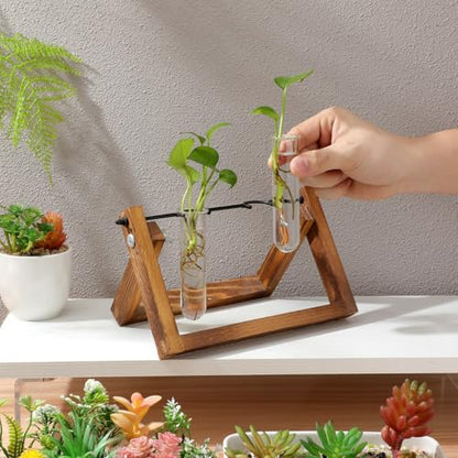 5PCS Glass Tubes for Plants, Propagation Tubes for Plants | Glass Test Pipe Vase for Scientific Experiments, Desktop Party Home Office Decor, Flowers Desktop, Indoor Hydroponic Station