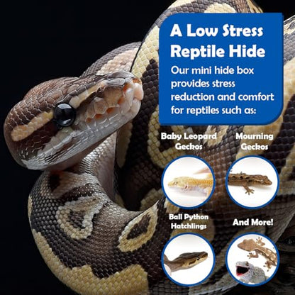 Pangea Reptile Hide Box, A - Mini 5.5"x3"x1.5" | Fits Most Standard Rack Units, Usable as Snake Tank Accessories, Good for Ball Python, Boas, Leopard Geckos, Kingsnake - size: A- Mini