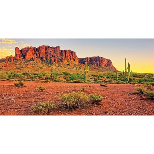 AWERT 48x24 inches Reptile Habitat Background Sky Oasis Mountain Cactus Sun and Desert Terrarium Background Durable Polyester Background - size: 48x24in/120x60cm