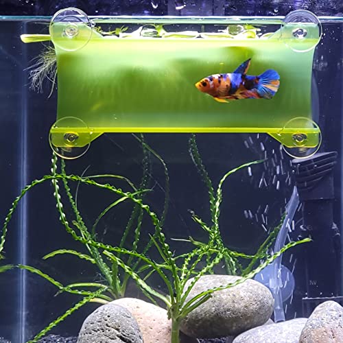 Brand Betta Tunnel (Translucent Medium Green) - color: Translucent Medium Green
