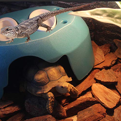 Reptile Hideout Cave Box with 2 Ceramic Sinks Fit for Snakes Lizards Chameleons Tree Frogs Geckos Small Tortoises and Other Small Reptiles (Blue) - color: Blue