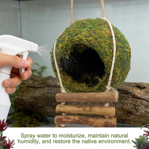 Handmade Moss Reptile Hanging Nest 4 Pcs Set, Large 6″ x 6″ | Gecko Hideout with Ladder, Terrarium Decor for Crested Gecko, Leopard Gecko, Lizard, Small Reptiles & Amphibians - size: Large 6″ x 6″
