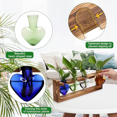 Plant Propagation Stations Heart Plant Terrarium Kit | Gift for Women Plant Lover Glass Vases - color: Color01