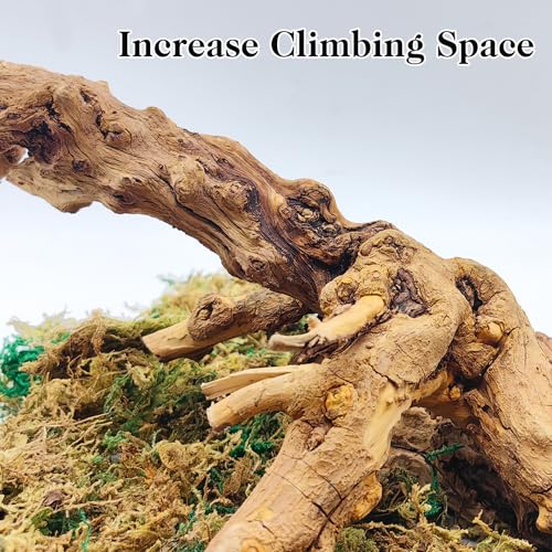 VCEPJH 2 Pack Reptile Wood Branches, Snake Climbing Branch Natural Bearded Dragon Log Tank Accessories Tree Trunk for Chameleon Gecko Snake Frog Spider - size: Pomegranate Wood (L:13.7"-15.7"-2pcs)