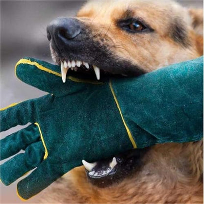 Animal Handling Anti-Bite Gauntlet, 60cm/23.6" Long Sleeve Protective Glove, Bite-Resistant for Cat, Dog, Snake, Falcon, Reptile Handling and