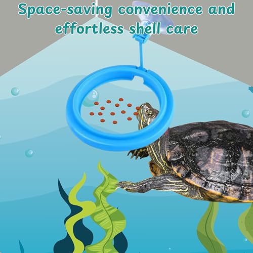Turtle Brush with Suction Cup & Feeding Ring, 2-Piece Cleaning & Feeding Set (Green) - color: Green