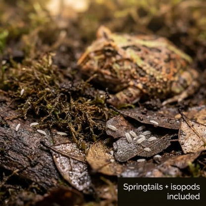 Pacman Frog Bioactive Kit - 9qt Premium Bioactive Substrate + 2qt Leaf Litter + 4qt Sphagnum + Charcoal Iso-Flats Hide + 3oz Calcium + 25 Dwarf White Isopods + 8oz Tropical Springtails
