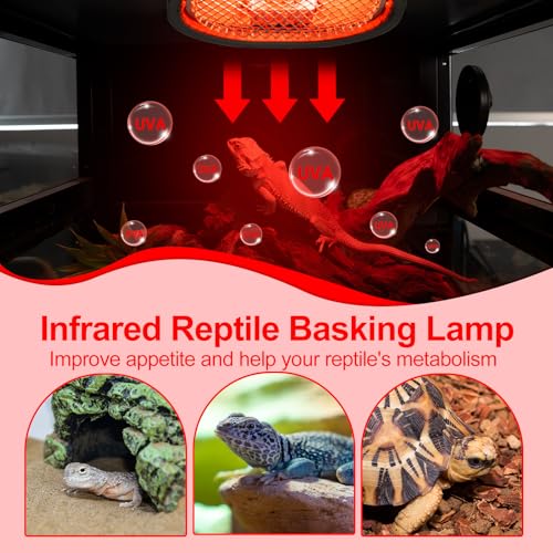 G9 Reptile Infrared Heat Lamp, Terrarium Heating Lamp Fixture with 50W UVA Low Profile Night Red Bulb | Safety Mesh, Tank Hood Basking Spot Light for Bearded Dragons Turtles Lizards Geckos - color: Infrared Basking