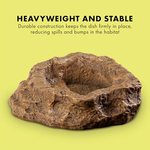 Zilla Terraced Dish, Reptile Feeding Dish, Stable and Spill-Resistant, Ideal for Geckos, Skinks, Snakes and Lizards, Medium - size: Medium