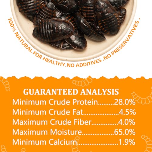 6 Pack Canned Dubia Roaches for Reptiles, Birds and Small Animals, Dubia Roaches, Healthy High Protein Treat, Reptile Food 7.2 Ounces Total