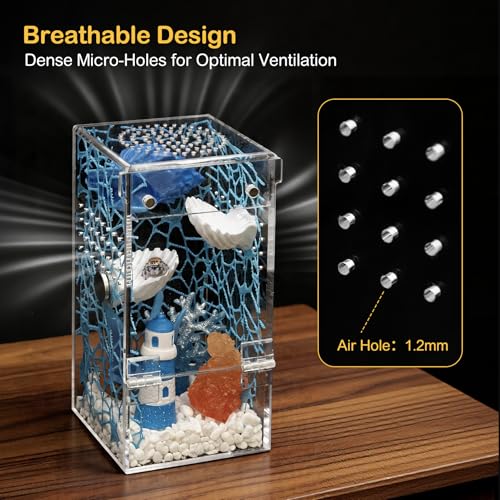 Jumping Spider Enclosure Starter Kit,Escape Proof Ocean Terrarium | Praying Mantis Terrariums,Transparent Acrylic Complete Bug Habitat,All In One Arboreal Tarantula Cribs Cage,Insect Container - color: Blue, size: Large