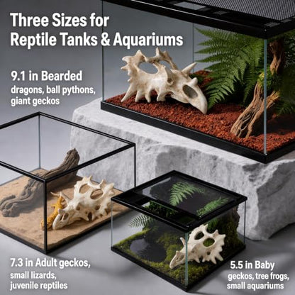 Triceratops Skull Reptile Hide for Bearded Dragons, Dinosaur Skull Terrarium Decor, Resin Cave Hideout for Lizards Snakes, Aquarium Tank Decoration (Medium) - size: Medium