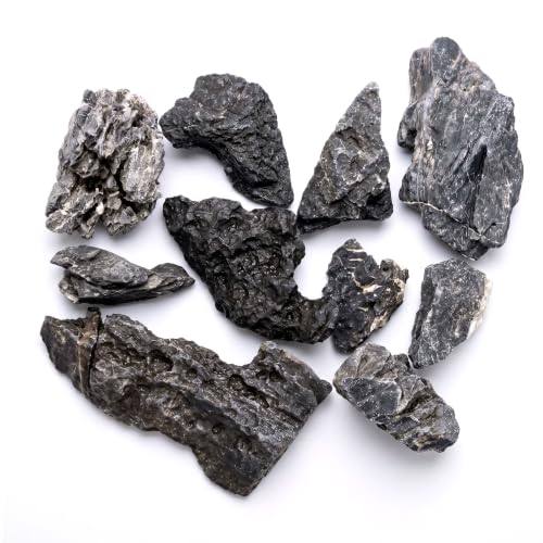 Seiryu Stone Aquascaping Rocks, 1 lb (2-4"), Aquarium Stone Set | Beginner to advanced aquascaping • Iwagumi-ready stone selection • Creates depth & perspective • Ideal for planted aquariums - color: Seiryu-Stone, size: 1 lb (2–4")