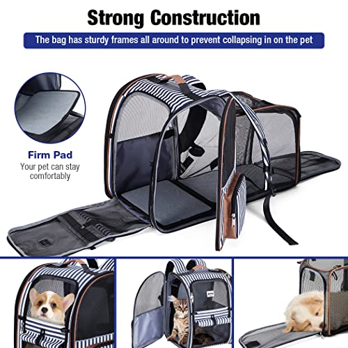Large Cat Backpack Carrier Expandable Pet Carrier Backpack for Small Dogs Medium Cats Fit Up to 18 Lbs, Dog Carrier Backpack,Puppy Backpack Carrier, Striped - color: Striped