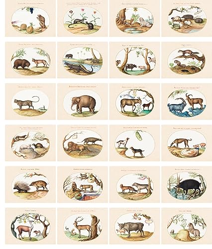 PIXILUV Vintage Postcards (24 pcs 4"x6" each) Pretty Paintings of Magnificent Animals Vintage Postcards Antique Botannical Book Illustration Poster - color: Violet