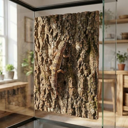 DECHOUS 3Pcs Natural Cork Bark Flats for Reptiles Cork Bark Background for Reptile Tank Terrarium Wall Panel for Lizard Gecko Snake Climbing Decor 15.74 X 11.81 X 0.78