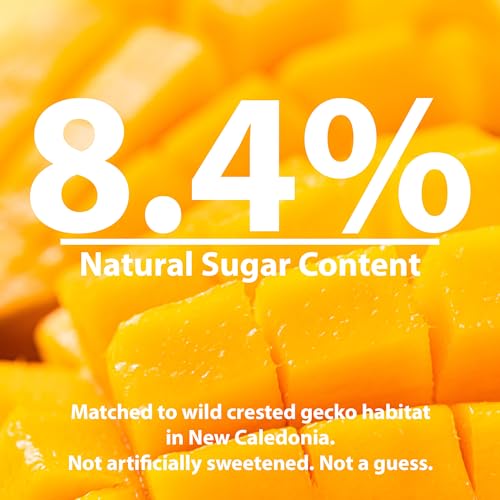 CTWPets Liquid Crested Gecko Treat & Food Topper, Mango Papaya, 4 fl oz | Value-size mango papaya gecko nectar for crested geckos; use as a liquid treat, water additive, food topper or CGD mixer - size: 4 Fl Oz (Pack of 1)