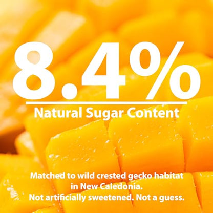 CTWPets Liquid Crested Gecko Treat & Food Topper, Mango Papaya, 4 fl oz | Value-size mango papaya gecko nectar for crested geckos; use as a liquid treat, water additive, food topper or CGD mixer - size: 4 Fl Oz (Pack of 1)