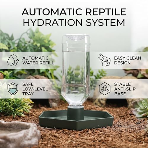 Haofy Reptile Water Bottle 6.3 x 5.9 x 5. inches Turtle Food and Water Bowl Automatic Feeders Waterer Tortoise Dispenser Bottle Feeding Dish for Lizard Chameleon (L) - color: Dark Green
